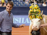 Роджеру Федереру подарили корову