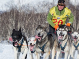 Старт гонки на собачьих упряжках на Камчатке перенесен из-за погоды