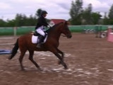 Смоленские конники стали призерами крупных соревнований