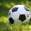 В Смоленске пройдет первенство ЦФО по футболу среди юношей до 16 лет