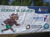 В Смоленском Поозерье состоялся забег «Бежим за зубров!»
