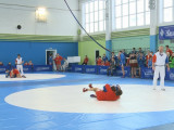 В Смоленской области состоялся турнир по самбо