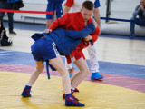 В Смоленске состоялись соревнования по спортивному и боевому самбо